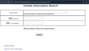 Las Vegas Jail Inmate Search